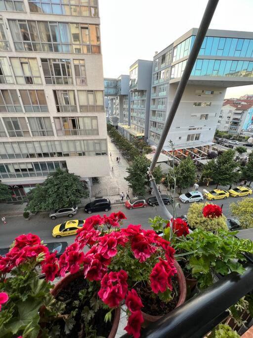 Mimosa'S Apartment With Lovely Balcony Tirana Exterior photo